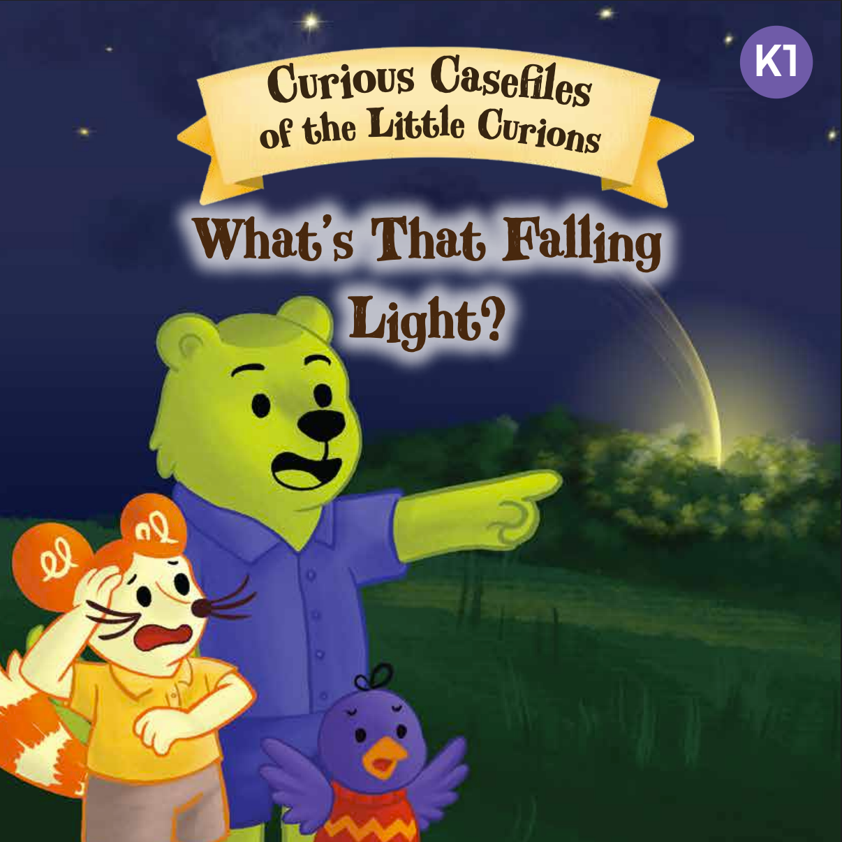 K1 What_s That Falling Light